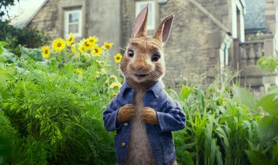 Peter Rabbit